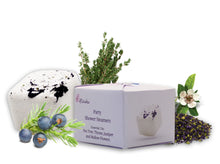 Load image into Gallery viewer, Party Shower Steamer