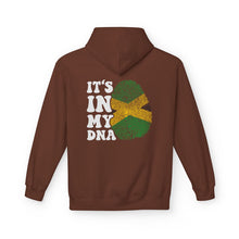 Load image into Gallery viewer, Jamaica DNA If You Met My Family Fleece Hoodie - Unisex Softstyle
