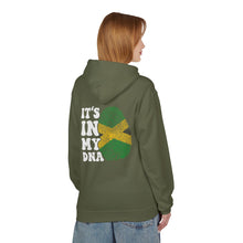 Load image into Gallery viewer, Jamaica DNA If You Met My Family Fleece Hoodie - Unisex Softstyle
