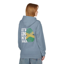 Load image into Gallery viewer, Jamaica DNA If You Met My Family Fleece Hoodie - Unisex Softstyle
