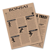 Load image into Gallery viewer, Bonsai Tree | Japanese Maple | Seed Grow Kit
